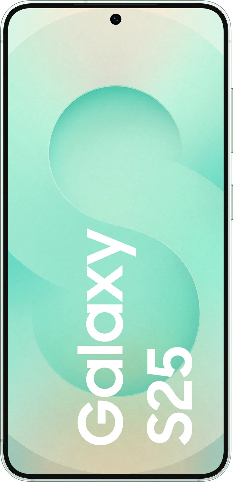 Samsung Galaxy S25 256 GB Mint